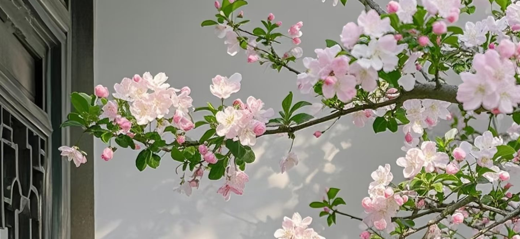 踏入花海秘境，解锁花的万千奥秘 —— 优质花卉知识网站推荐​